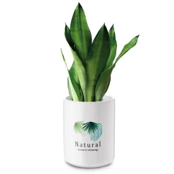 Pojemnik ceramiczny uniwersalny Tadar Natural 700 ml